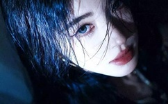 人狗胶配方大全免费天气预报